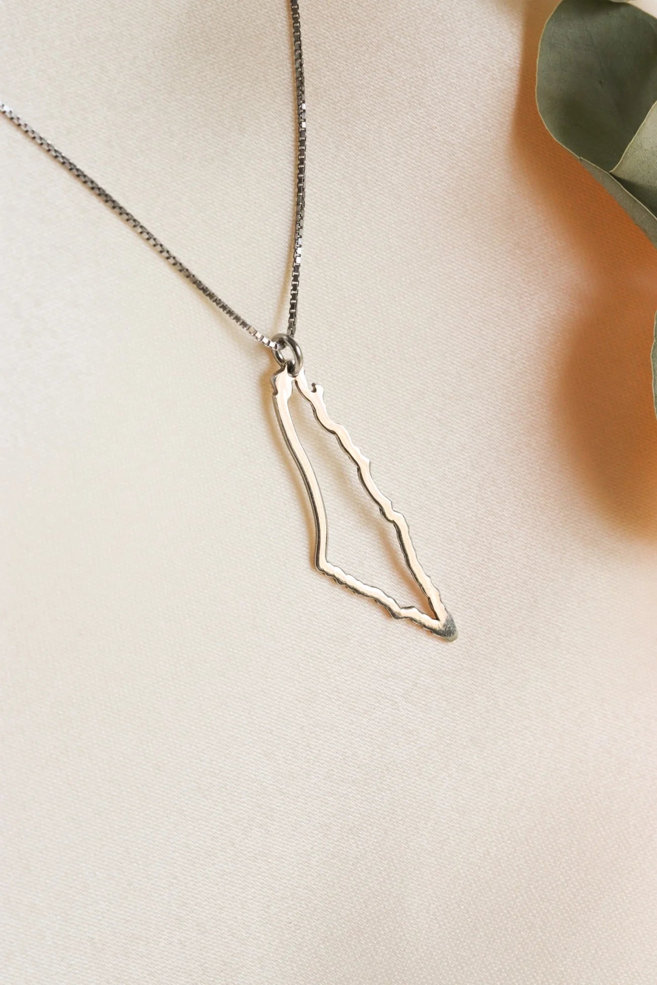 TCB-Necklace(Palestine Map frame)silver