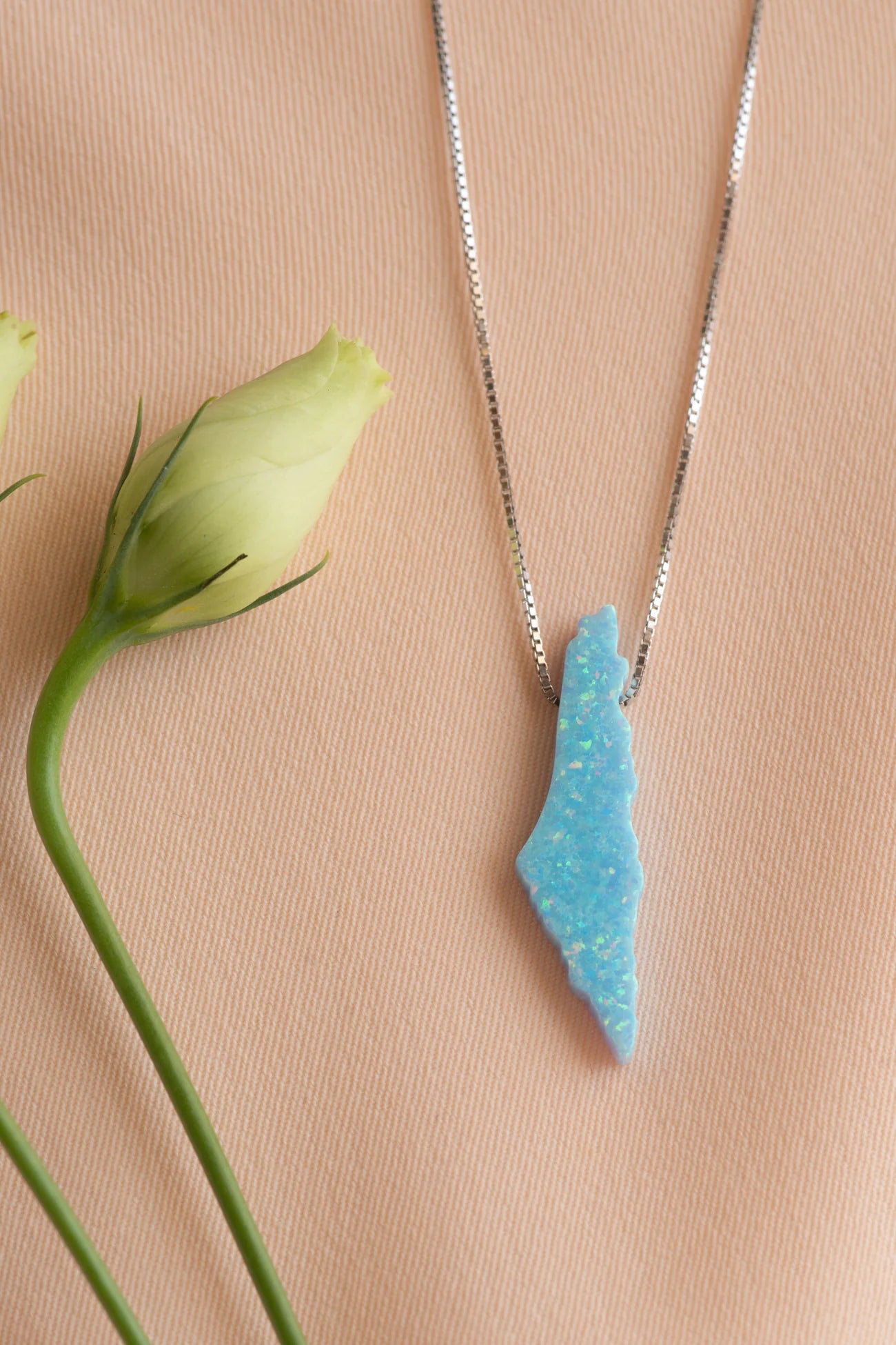 TCB Necklace: Opal Palestine map-BLUE