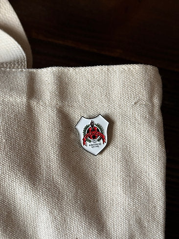 SADA pin: Al rayyan club