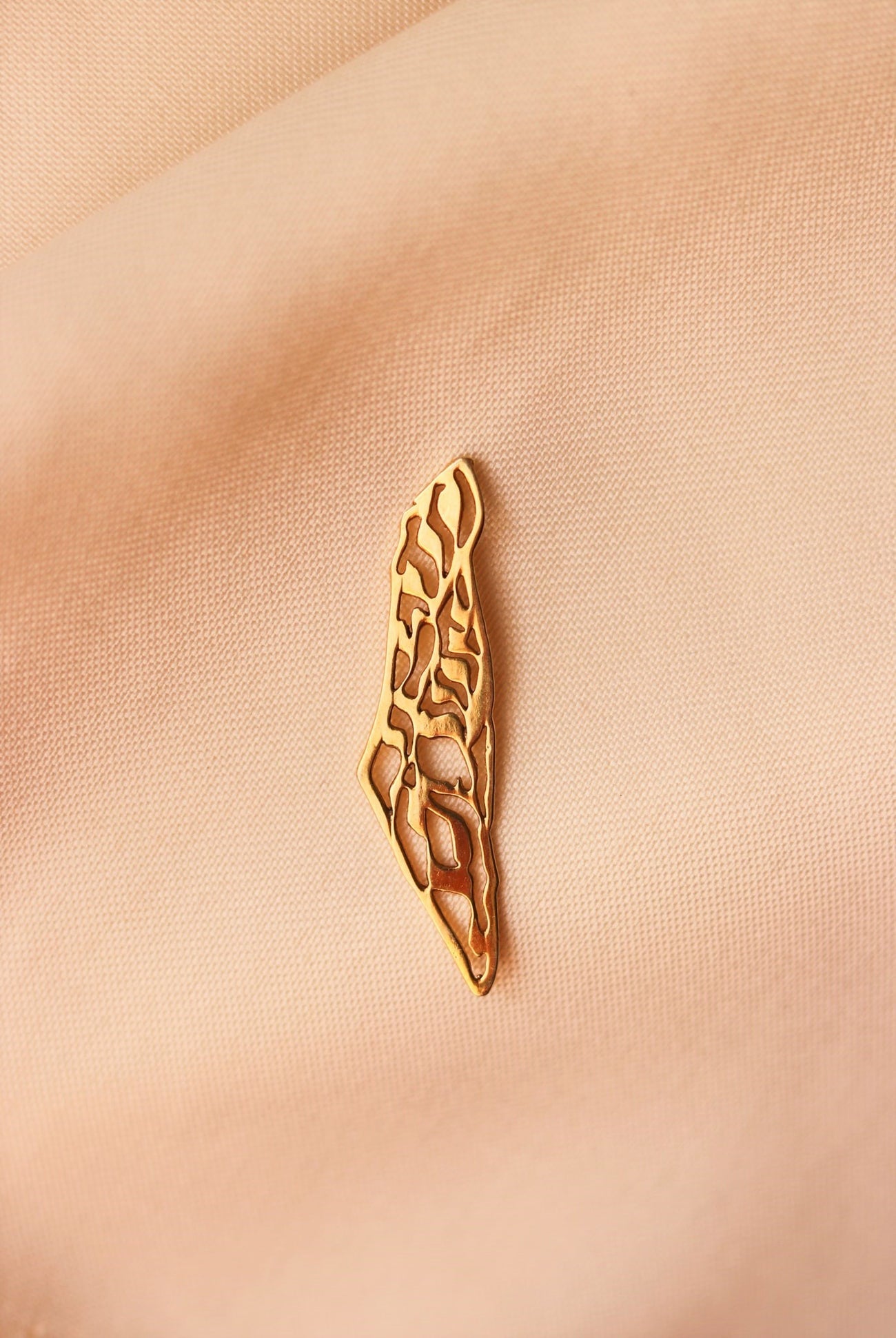 TCB-Pin( Palestine map with olive leaves pattern)Gold